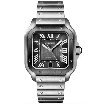 Сartier Santos De Cartier WSSA0037