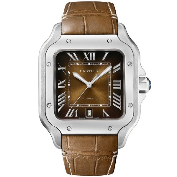 Часы мужские Cartier Santos De Cartier Large Automatic WSSA0064